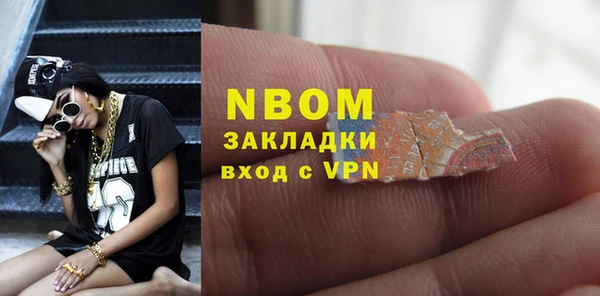 сатива Заводоуковск