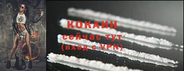 сатива Заводоуковск