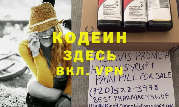 сатива Заводоуковск