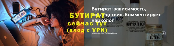 сатива Заводоуковск