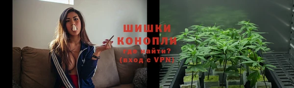 сатива Заводоуковск