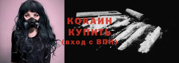 сатива Заводоуковск