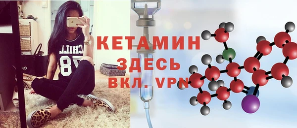 дживик Ельня