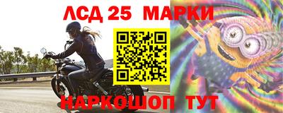 стаф Донской