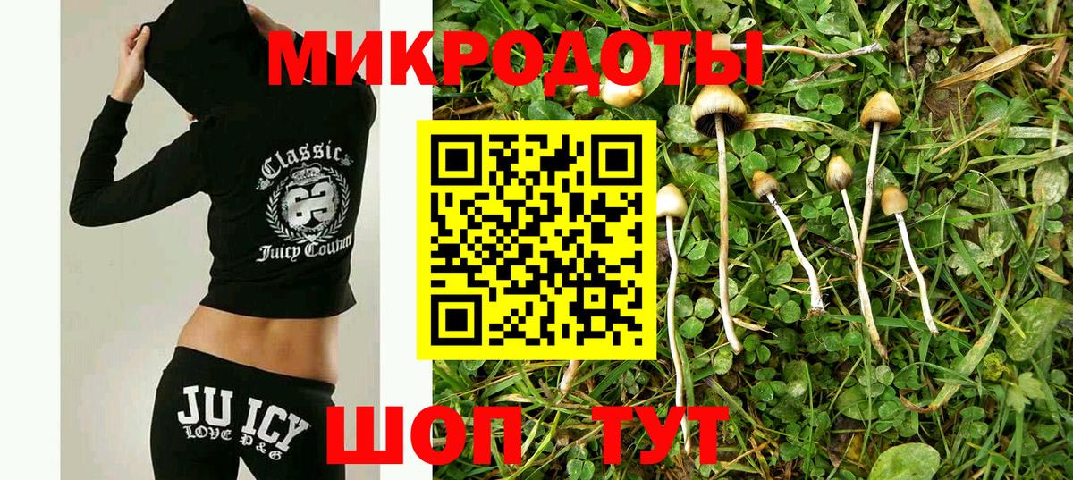 Псилоцибиновые грибы Psilocybe Набережные Челны