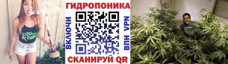 купить наркотики цена  Набережные Челны  Шишки марихуана марихуана 